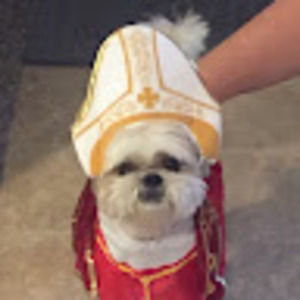 Meet your Posher, Brooke